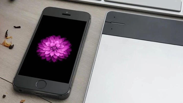 苹果是个处女座，光壁纸的一朵花就拍了 285 小时！