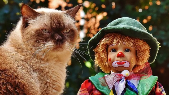 用户运营实战，打造流失用户召回体系